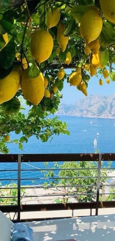 Lush lemon tree with sea view in the background, a serene wallpaper.