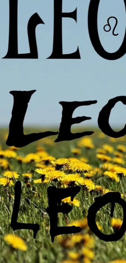 Leo-themed wallpaper with yellow flowers and blue sky.