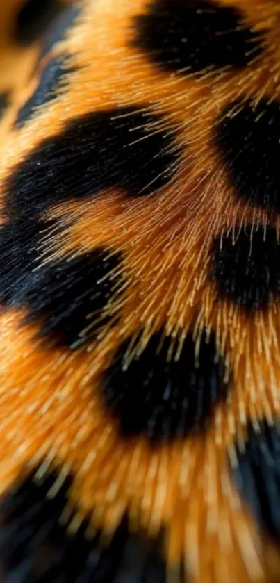 Close-up of leopard fur pattern wallpaper.