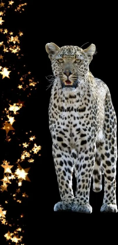 Majestic leopard with golden stars on a black mobile wallpaper.