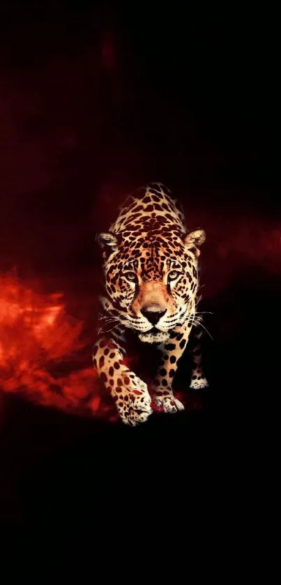 Leopard walking on a fiery red and black background.