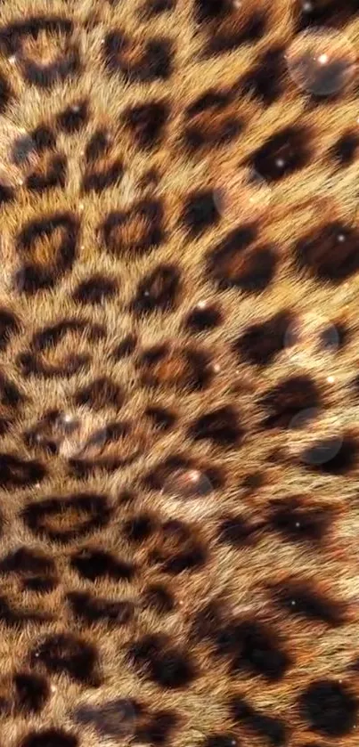 Leopard print mobile wallpaper with intricate patterns and natural tones.