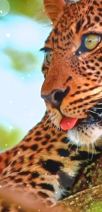 Leopard resting on a tree branch with a vibrant green background.