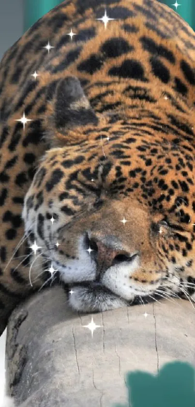 Leopard peacefully resting on a log enhanced with sparkling stars.