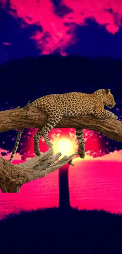 Leopard resting on tree with vibrant sunset backdrop.