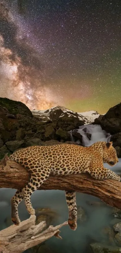 Leopard resting on a branch under a vivid starry night sky.