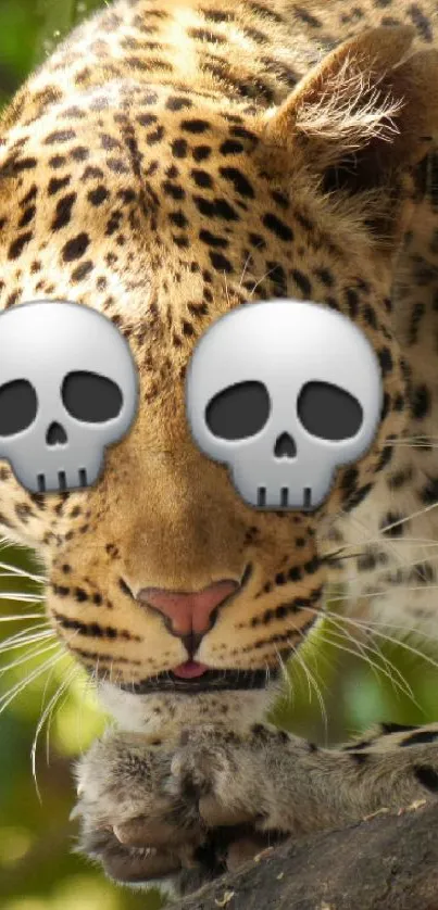 Leopard with skull eyes, perched on a tree in a green setting.