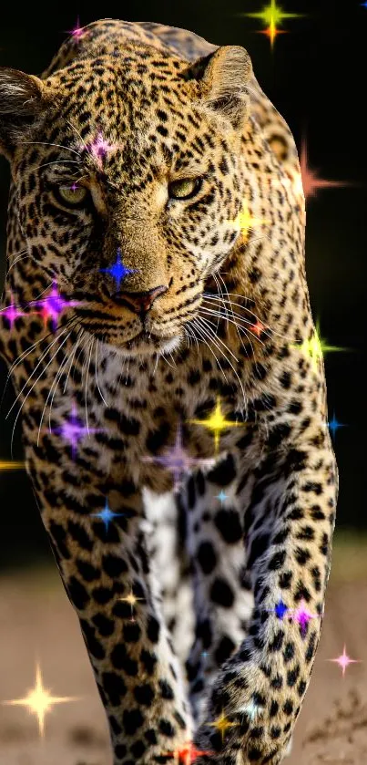 Leopard walking with sparkling colorful lights.