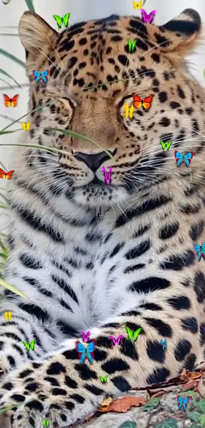 Leopard with colorful butterflies on fur in serene jungle setting.