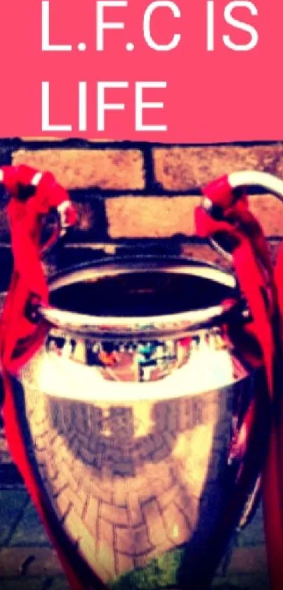 Young LFC fan with two football trophies.