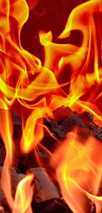 fire Live Wallpaper