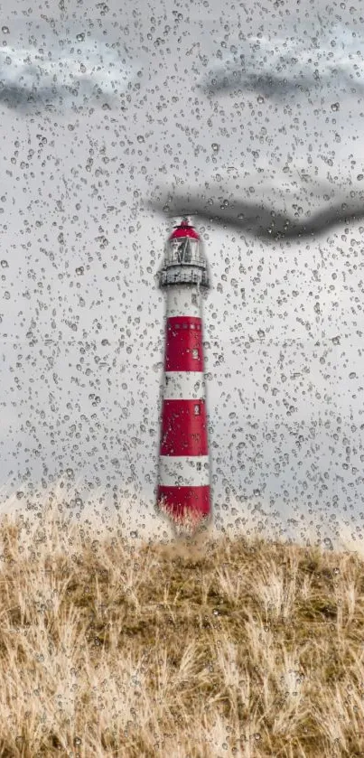 Lighthouse in rain with dramatic sky and tall grass