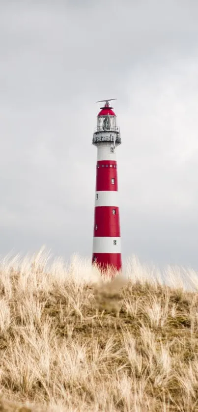 Lighthouse Sky Plant Live Wallpaper