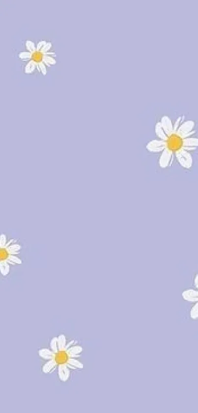 Lilac wallpaper with white daisies, creating a calming and elegant touch.