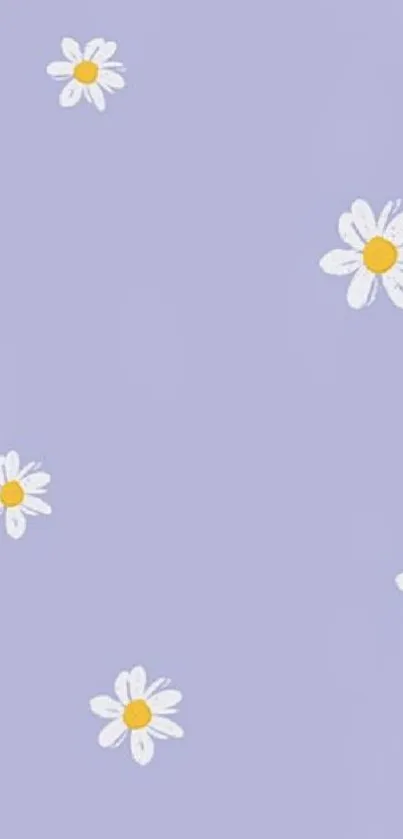 Lilac background with white daisies mobile wallpaper.