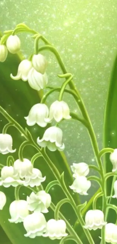 Lily of the Valley with green leaves wallpaper