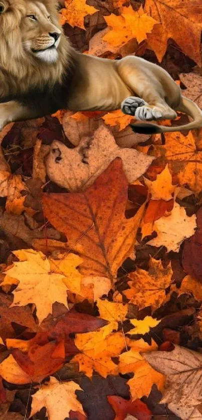 Lion resting on vibrant autumn leaves, creating a natural and wildlife-themed phone wallpaper.