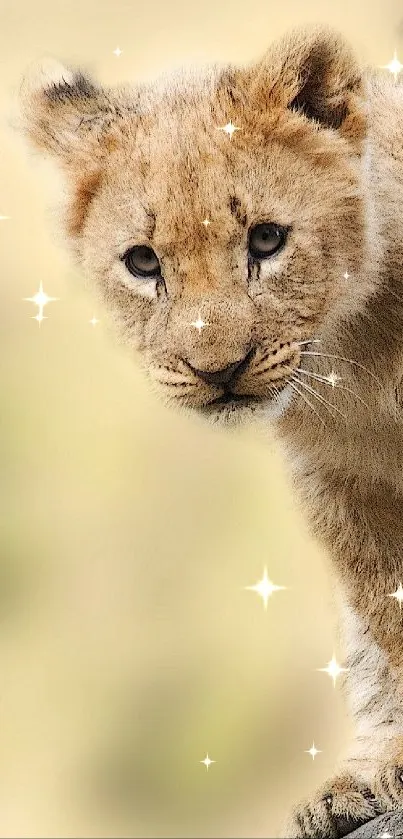 Lion cub climbing a tree in natural setting.