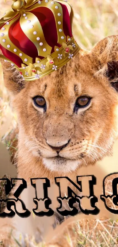 Lion cub wearing a crown with 'KING' text on a natural background.