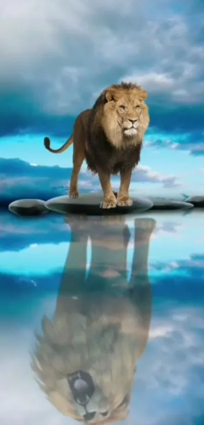 Lion standing on rocks reflecting in calm water against a cloudy sky.