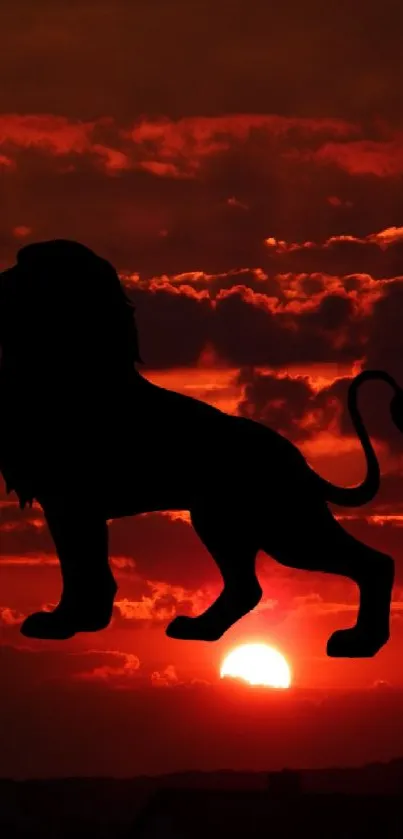 Lion silhouette with dramatic sunset sky background.