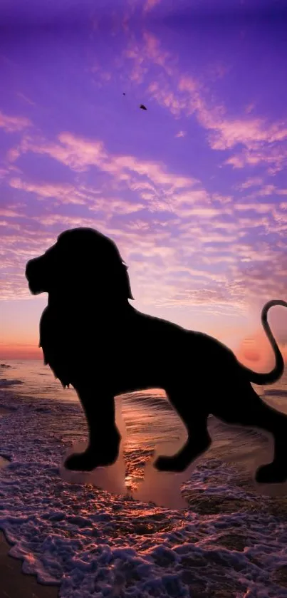 Lion silhouette at sunset beach with vibrant purple sky.