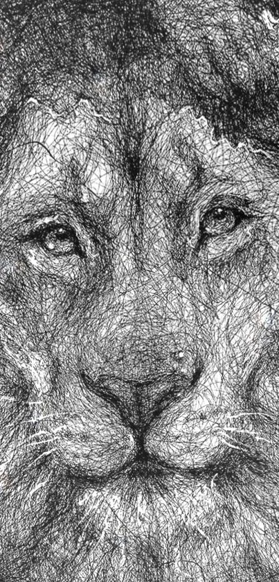 Intricate black and white lion sketch art wallpaper for mobile devices.