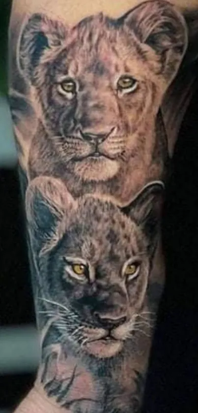 Lion tattoos on arm mobile wallpaper.