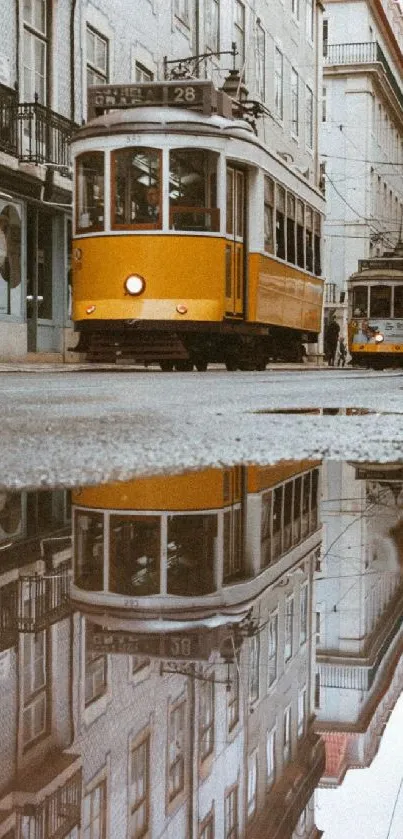 Yellow tram in Lisbon reflecting on a wet street, capturing urban charm.