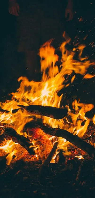Vibrant bonfire with lively orange flames.