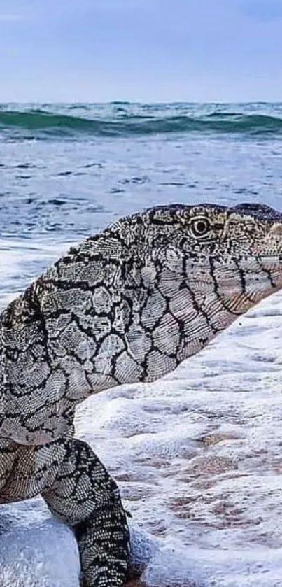 Lizard on the beach with ocean waves in the background.