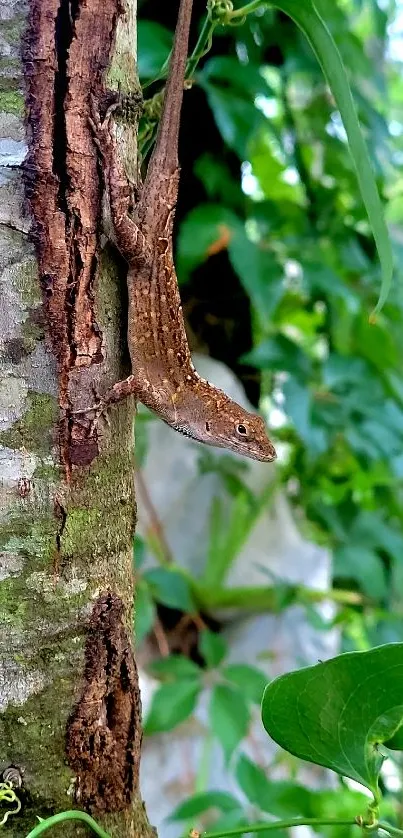 Lizard on a tree surrounded by lush green leaves, perfect for nature lovers.