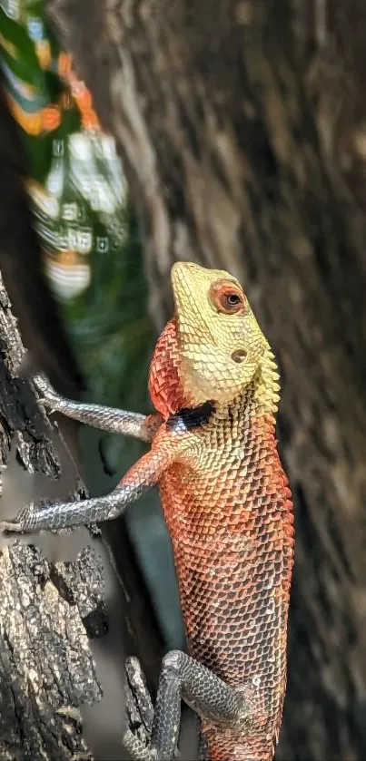 A vibrant lizard climbing on textured tree bark.