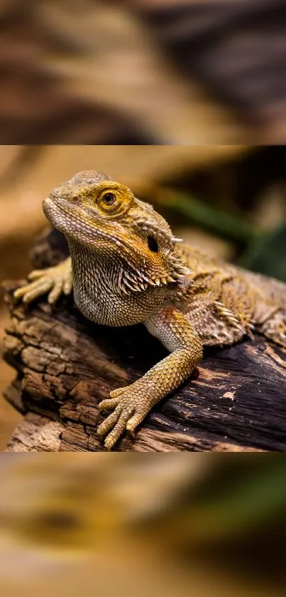 A lizard resting on a wooden log with earthy tones and detailed scales.