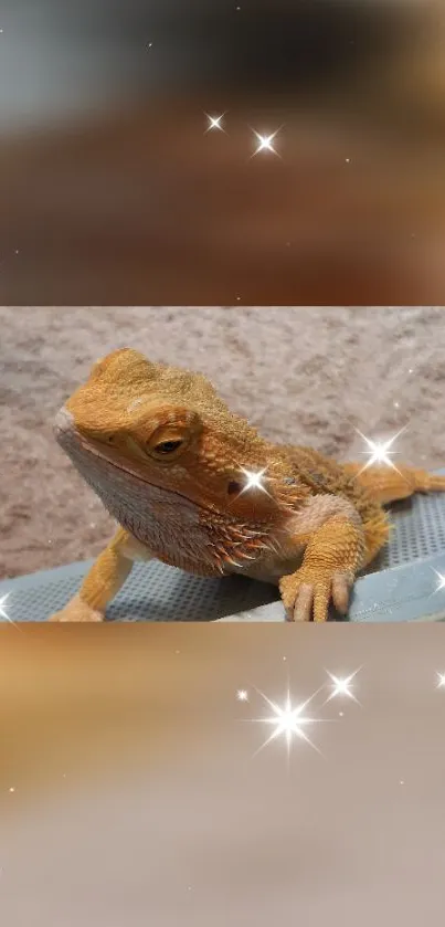 Bearded dragon lizard in a glittering setting.