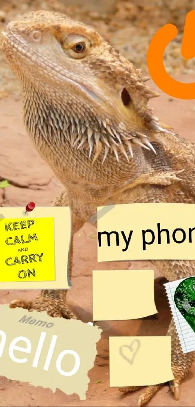 Lizard on rocks with motivational stickers and a phone symbol.