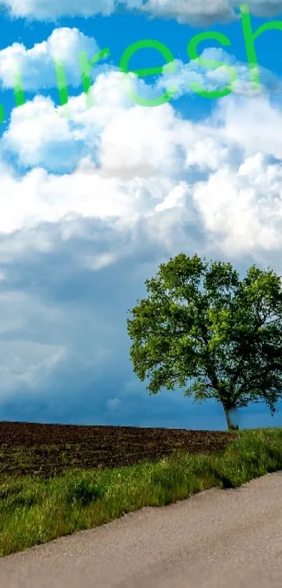 Serene wallpaper of a lone tree under dramatic clouds and blue sky.