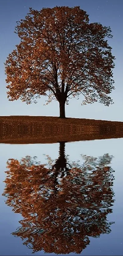 Lone tree reflected in calm lake under a starry night sky with a crescent moon.