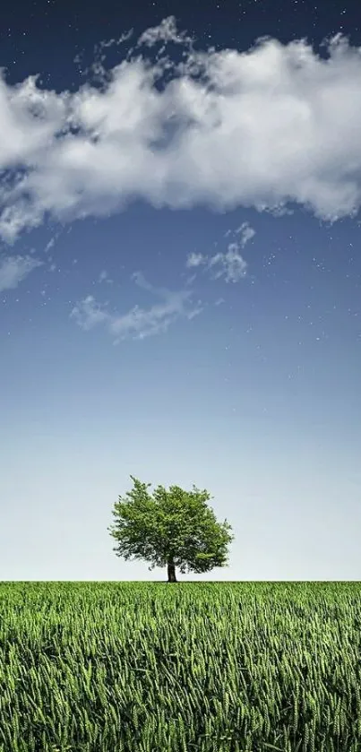 A lone tree under a starry night sky with a green field.