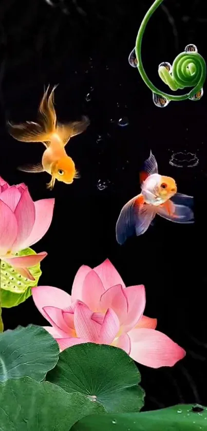 Vibrant goldfish swim with lotus flowers on a black background.