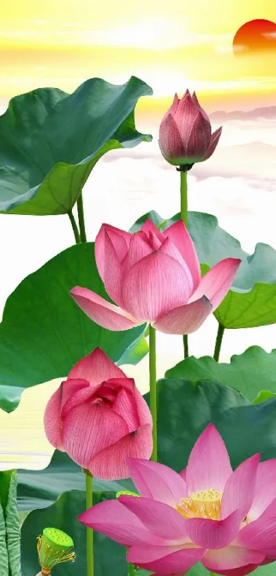 Lotus blossom with sunrise in serene natural setting.