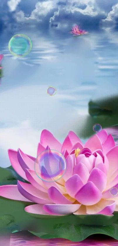 Pink lotus on serene water with reflections and clouds.