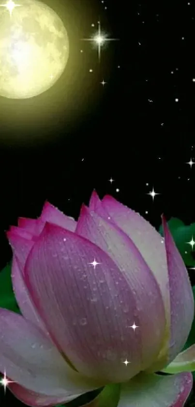 Pink lotus under a full moon in a starry night sky wallpaper.