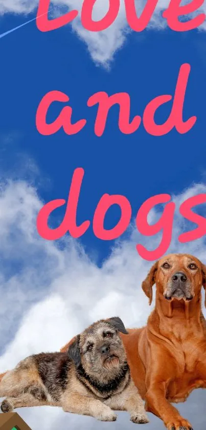 Mobile wallpaper with blue sky, clouds, and two adorable dogs.