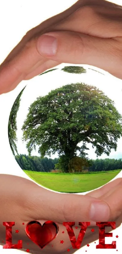 Hands holding a sphere with a tree and love text, nature theme.