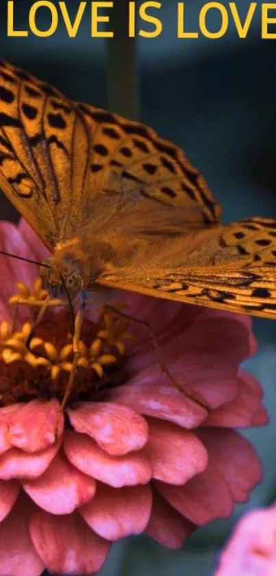 Orange butterfly with 'Love is Love' text on pink flower mobile wallpaper.