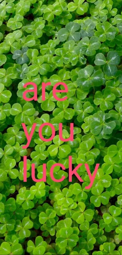 Vibrant green clover leaves with 'are you lucky' text overlay.