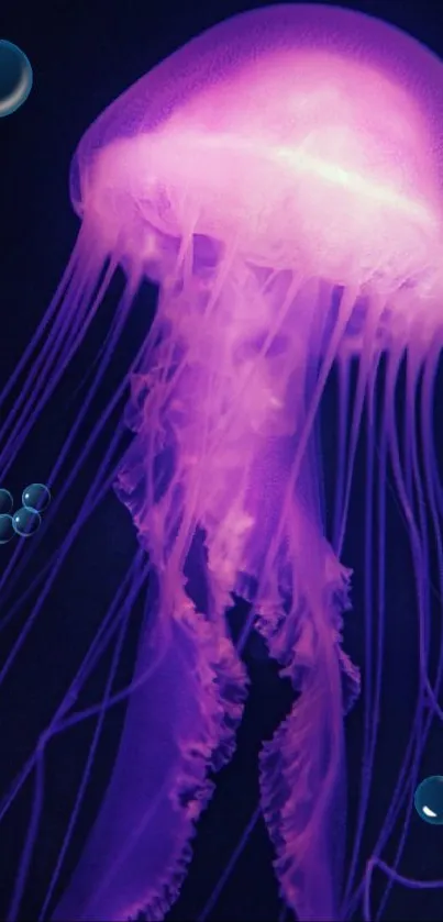 Purple glowing jellyfish in deep sea wallpaper with bubbles.