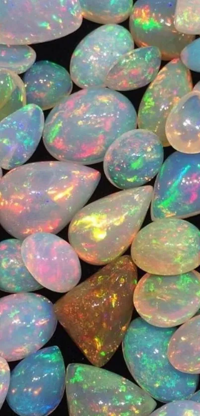 Colorful opal gemstones with vibrant hues.