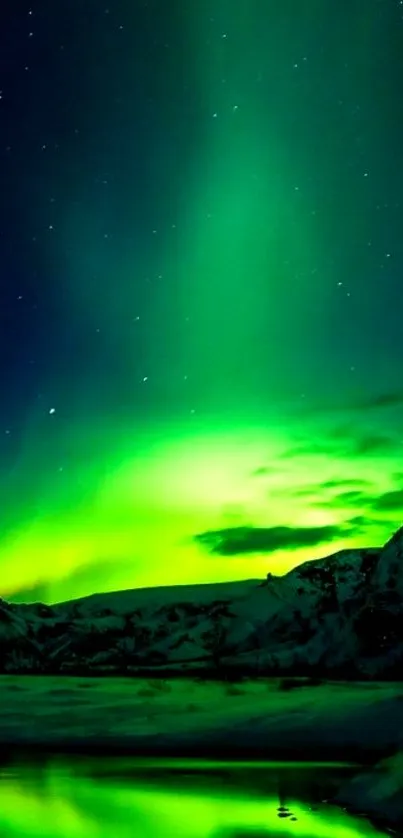 Aurora lights illuminating a snowy landscape under the starry night sky.